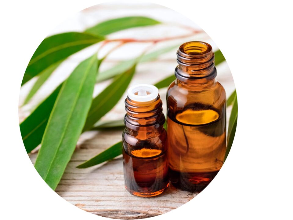Eucalyptus oil - Ostelife Premium Plus Ingredients