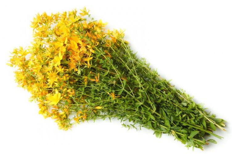 Wort St.John used in the treatment of arthrosis